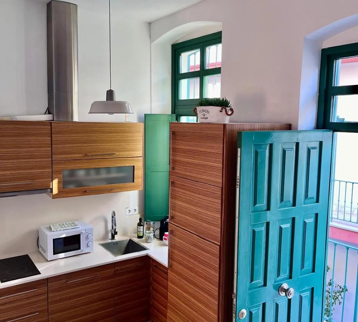 Jacaranda Triana Apartment Seville 0*,  Spain